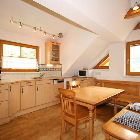 Steinacher Apartment Schladming